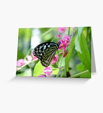 Butterfly Greeting Card