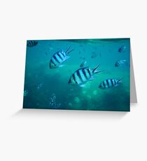 Underwater Greeting Card