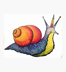 Rainbow Snail-icorn Photographic Print