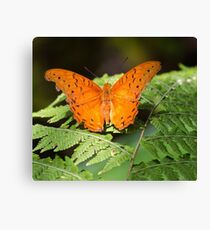 Cruiser Canvas Print
