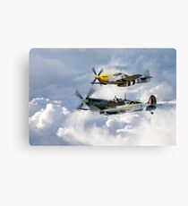 Flying Brothers Canvas Print