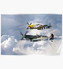 Flying Brothers Poster