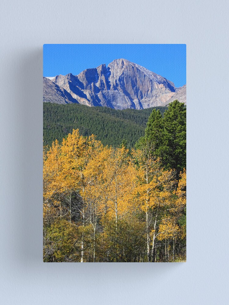 Alternate view of Autumn Aspens and Longs Peak Canvas Print