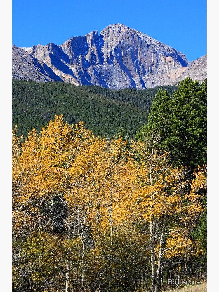 Autumn Aspens and Longs Peak by mrbo