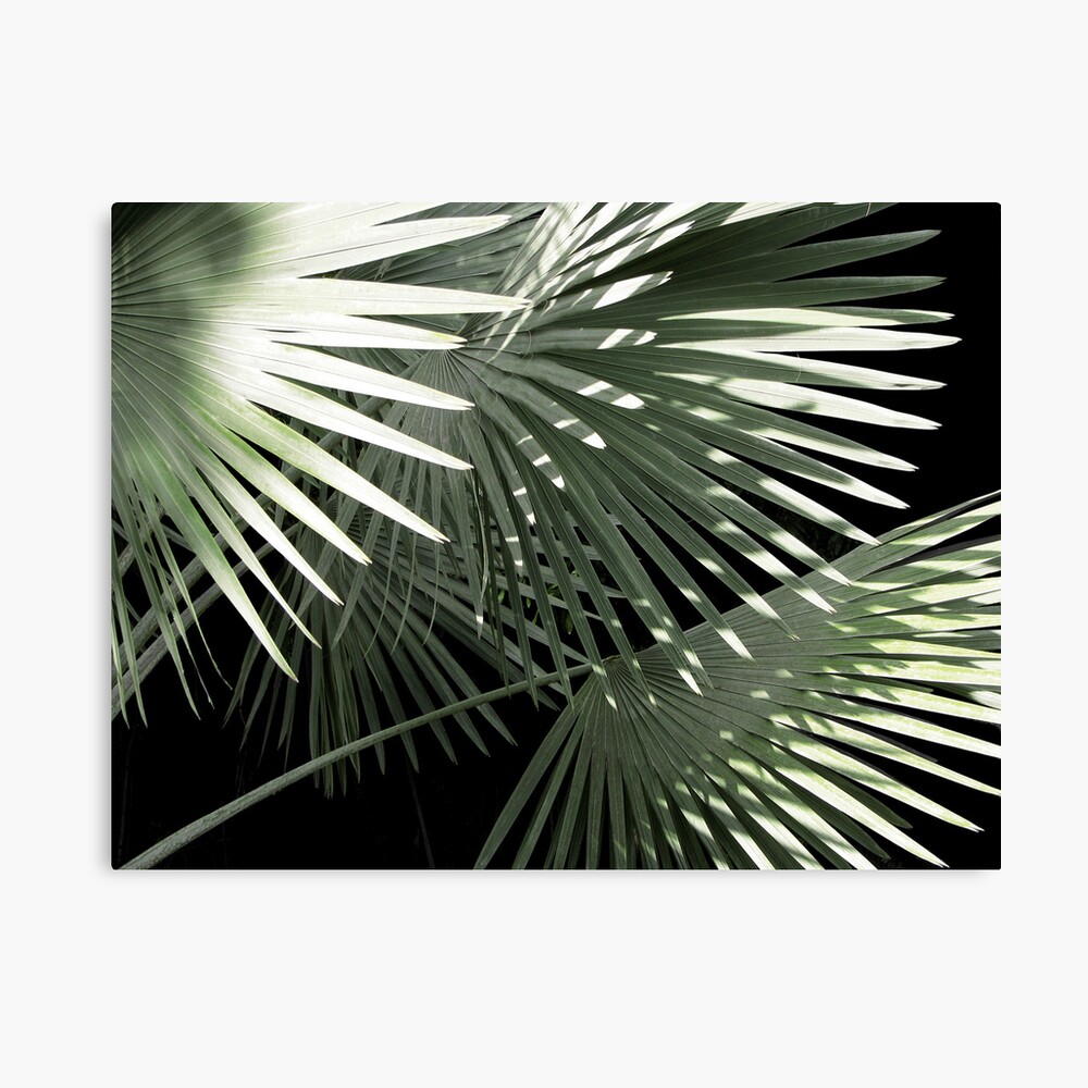 Shapes of Hawai'i Canvas Print