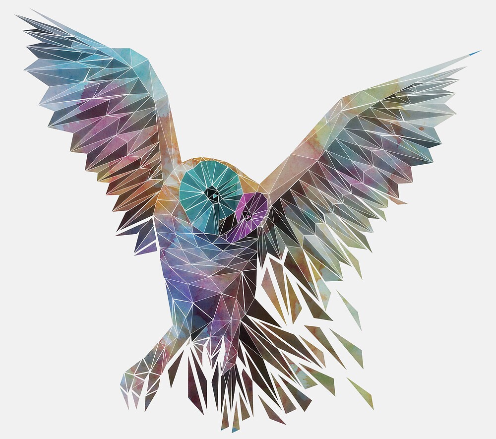 "Geometric Owl" by Thiago García Redbubble
