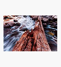 Bells Rapids - Swan Valley Photographic Print