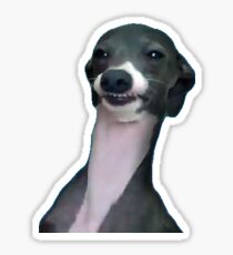 Pegatina wyd dog um
