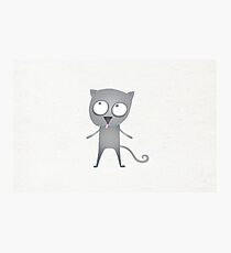 Cat picture Photographic Print