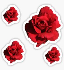 Red Rose Sticker