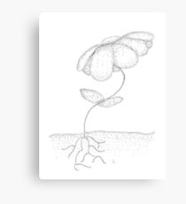 Fading Sunflower Poster Canvas Print