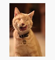 Licking Gumbo Photographic Print