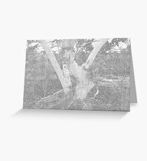 Wheatbelt Mallee Greeting Card