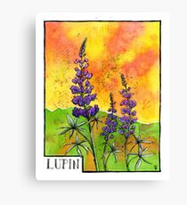 Lupin Flowers Canvas Print
