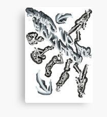 EVOLUTION Canvas Print