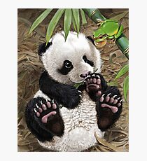 Panda & Cute Green Tree Frog Arbeit 1 Fotodruck