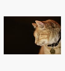 Gumbo Profile against Black Photographic Print