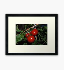 Tomato Brush Framed Print