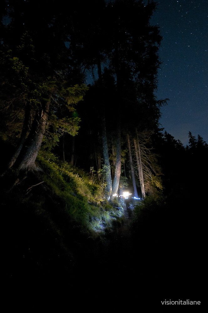 "Night time photography in the forest nature landscape of the Alps