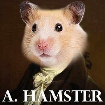 Artwork thumbnail, Alexander Hamilton - Hamster by imaginedworlds