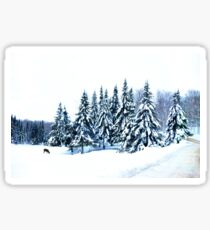 Peace on Earth ! Sticker