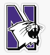 Northwestern Sticker