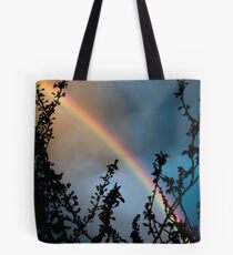 Rainbow against clouds at sunset sky color wall art - Arcobaleno Tote Bag