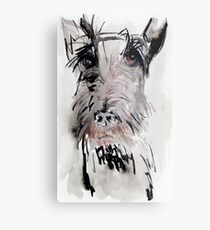 Scottish Terrier Metal Print