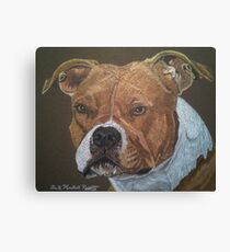 American Pit Bull Terrier Canvas Print