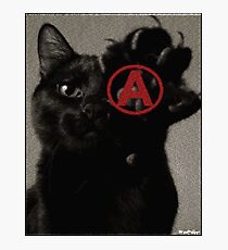 ALL CATS ARE BEAUTIFUL by ROOTCAT Photographic Print