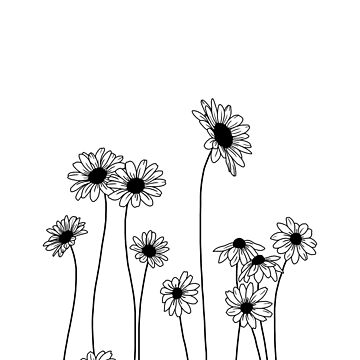 Simple Line Art Drawings of Flowers in Black and White Spiral