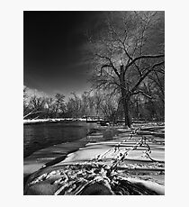 Thousand Islands Photographic Print