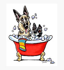 German Shepherd & Boston Terrier in the Bath Photographic Print