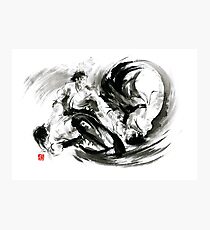 Aikido randori fight popular techniques martial arts sumi-e samurai ink painting artwork Photographic Print