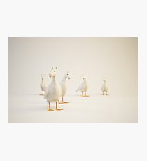 ocaballo Photographic Print