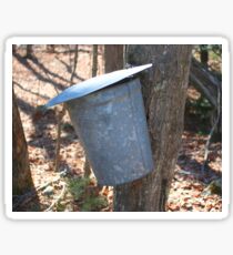 Sign Of Spring Sticker
