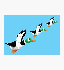 8-Bit Nintendo Duck Hunt 'Trio' Photographic Print