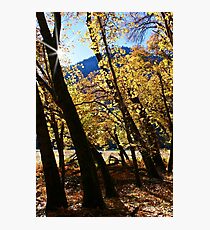 Yosemite Fall #2 Photographic Print
