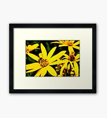 Bumble Framed Print