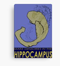 Hippocampus Travel Poster Canvas Print