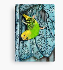 Buschi Canvas Print
