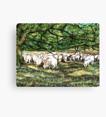 The Flock Canvas Print