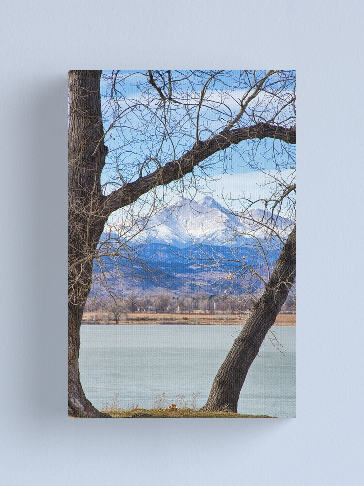 Alternate view of View Through The Trees To Longs Peak Canvas Print