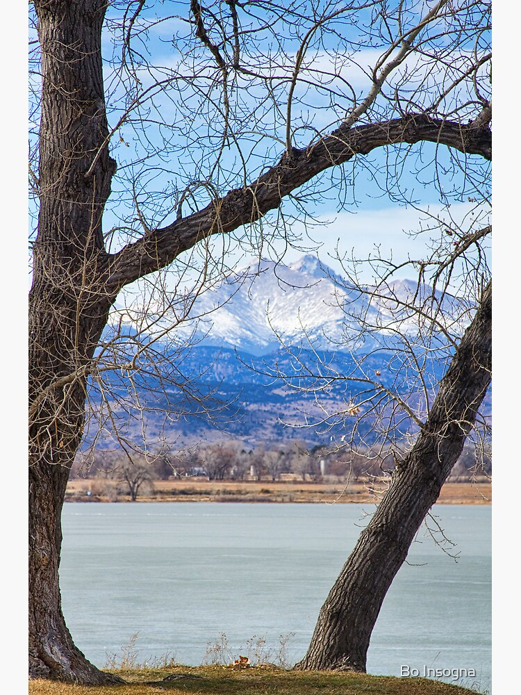 View Through The Trees To Longs Peak by mrbo