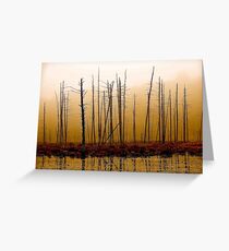 Vernal Greeting Card