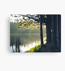 Alpenglow Canvas Print