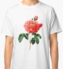 Vintage botanical art, red rose flower. Classic T-Shirt