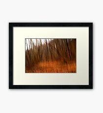 Imagination Framed Print