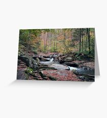 Autumn Drizzle On Kitchen Creek Greeting Card