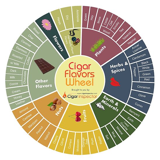 "Cigar Flavors Wheel poster" Posters by CigarInspector Redbubble